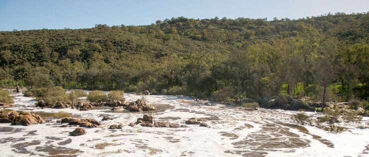 Bells Rapids in Perth - walk over the footbridge then choose which trail you want to take.   