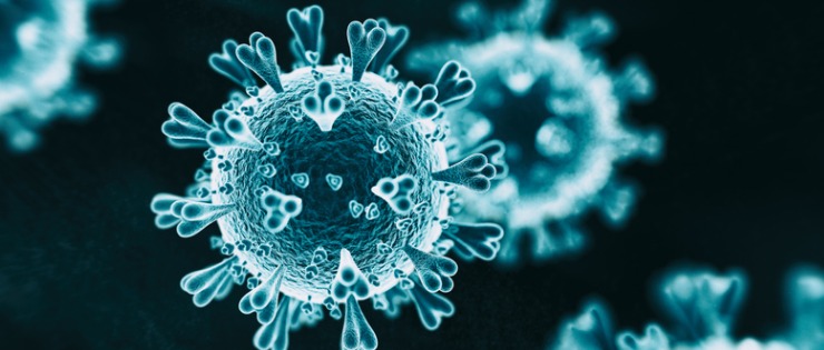 The coronavirus cell, debunking the myths circulating about the virus