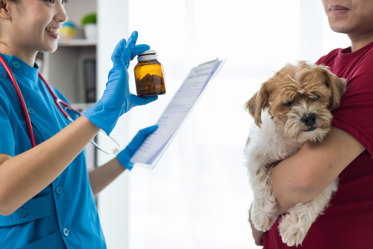 Probiotics in Pets