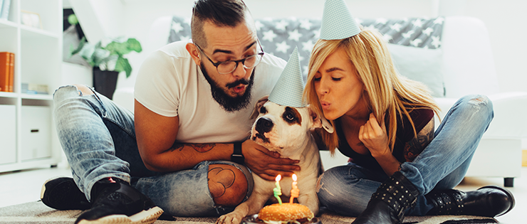 Throwing A Birthday Party For Your Dog