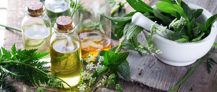 Supplements and extracts in glass bottles and fresh herbs on a table, organised by a naturopath.