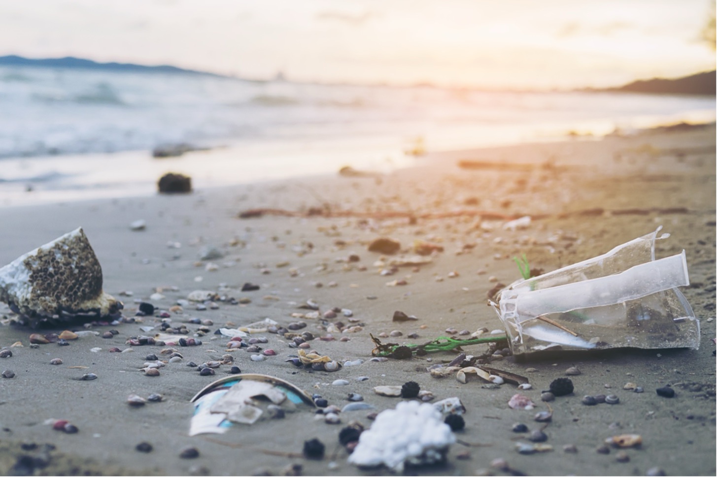 beach covered in shells and plastic waste showing how microplastics can impact sustainability