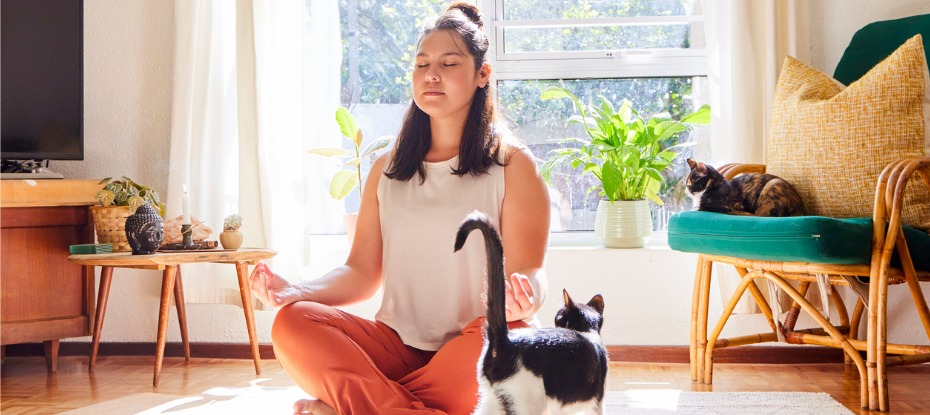 A woman practising meditation with her cat in the living room, embodying mindfulness in everyday life